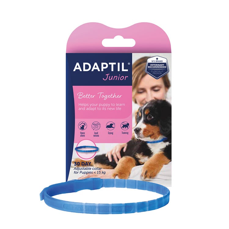 Adaptil Collar image 1